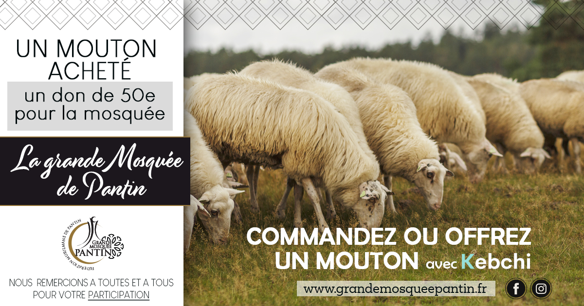 mouton kebchi pantin