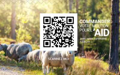 Commander votre mouton ou offrez-le !